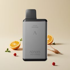 Adalya AD 10000 Puffs Käyttökertaa USB-C Ladattava Space Gray Mint Point