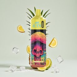 JNR Alien 10000 Puffs 850mAh 20ml Type-C RGB Ananasjää Disposable Vape