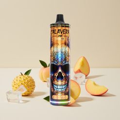 JNR Calavera 11000 Puffs Disposable Vape Persikka Mango Ananas Jää Type-C 850mAh 21ml 1.0ohm