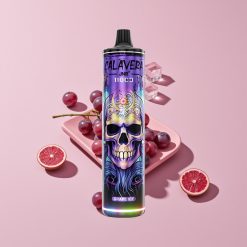 JNR Calavera 11000 Puffs Käytettävä Vape Viinijää Type-C 850mAh 21ml 1.0ohm