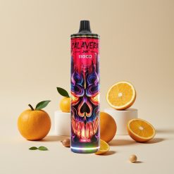 JNR Calavera 11000 Puffs Type-C 850mAh 21ml 1.0ohm Vimtu Disposable Vape