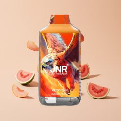JNR Falcon 16000 Puffs Disposabeli Vape Vesimeloni Mango Persikka 850mAh Type-C LED