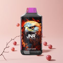 JNR Falcon 16000 Puffs Disposable Vape Kirsikka Viinirypäle 850mAh 22ml Dual Mesh Type C