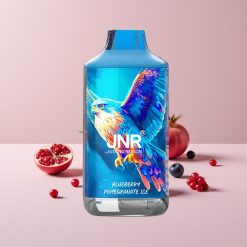 JNR Falcon 16000 Puffs Ladattava Vape Mustikka Granaatti Jää 850mAh 22ml Kaksoishäkkäävä Käämitys