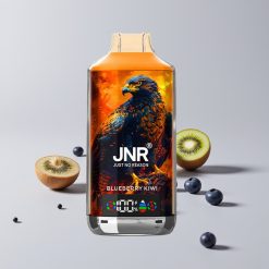 JNR Falcon X 18000 Puffs 750mAh 24ml Digitaalinäyttö Type-C Mustikka-Kiivi