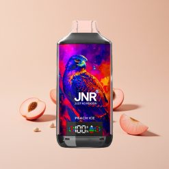 JNR Falcon X 18000 Puffs 750mAh 24ml Kaksoisverkkokäämi Peitsi-Jää Type-C