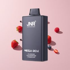 JNR Mega Box 25000 Puffs 30ml 850mAh Kaksoismesh-käämit Typ-C Mustikka-Karpalo-Mansikka