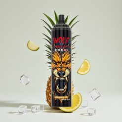 JNR Wolf Niplo 10000 Puffs 1.0 Ohm Mesh 650mAh 20ml Type-C Ananas-Jää